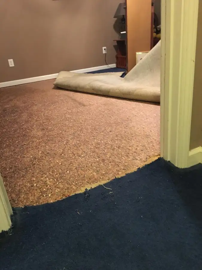 Carpet pad removal revealing water damage during Drying & Dehumidification in Dry Run