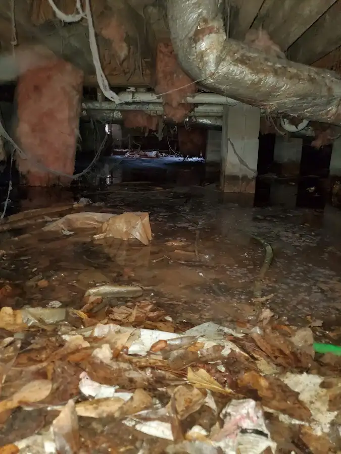 Crawl space flood assessment for Leak Detection & Repair in Dry Run