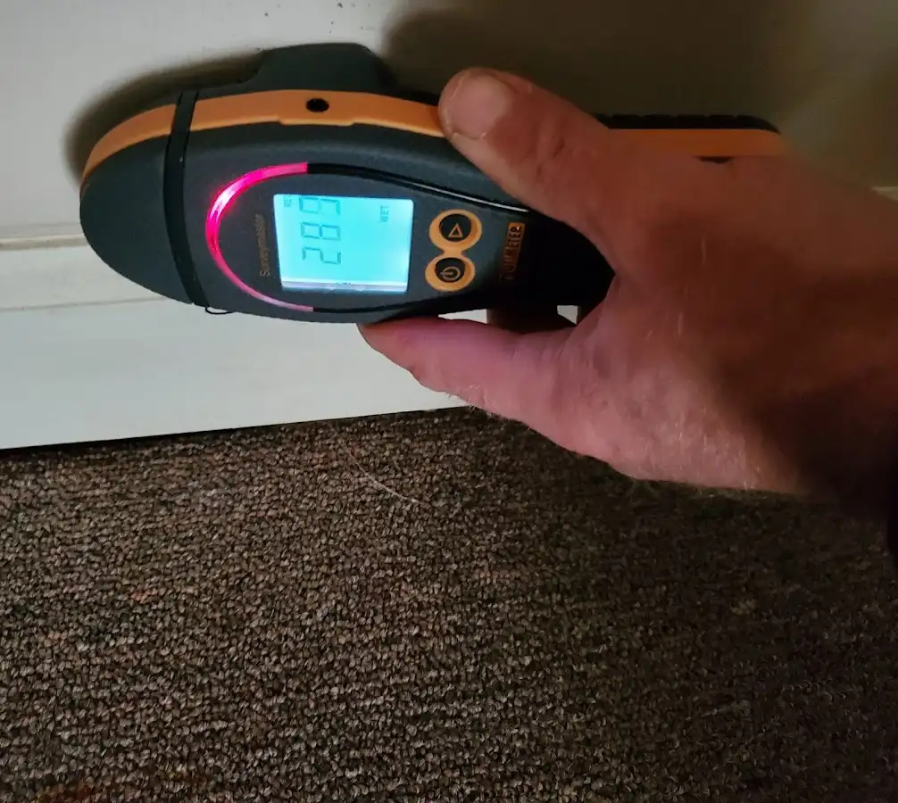Moisture detection at baseboard during Sewage Cleanup & Sanitation in Dry Run